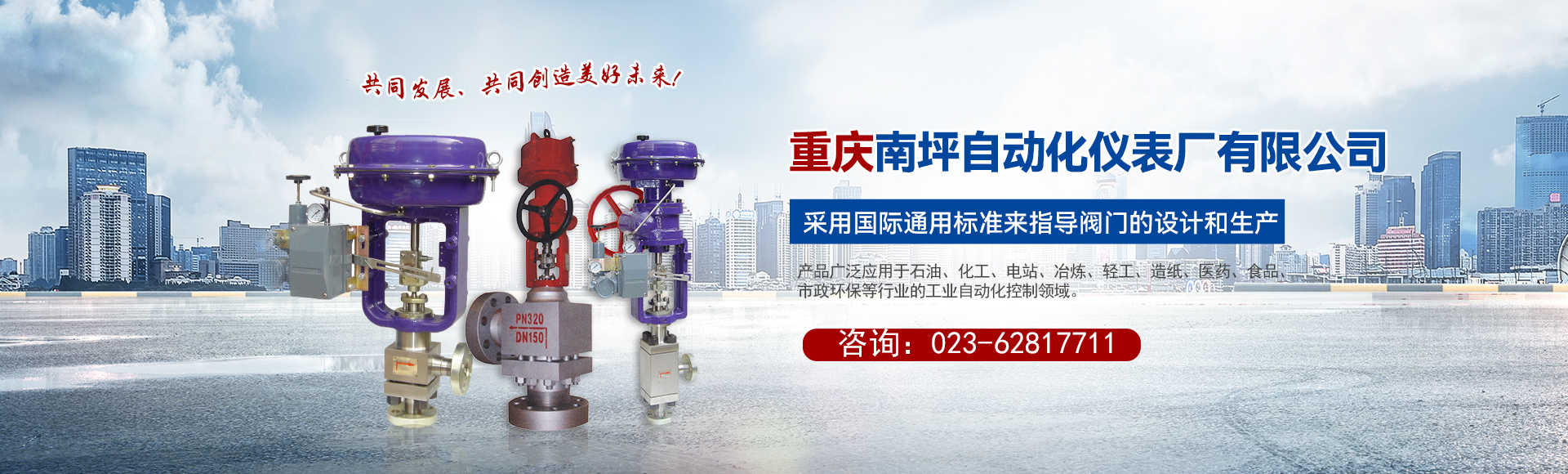 重慶南坪自動化儀表廠有限公司